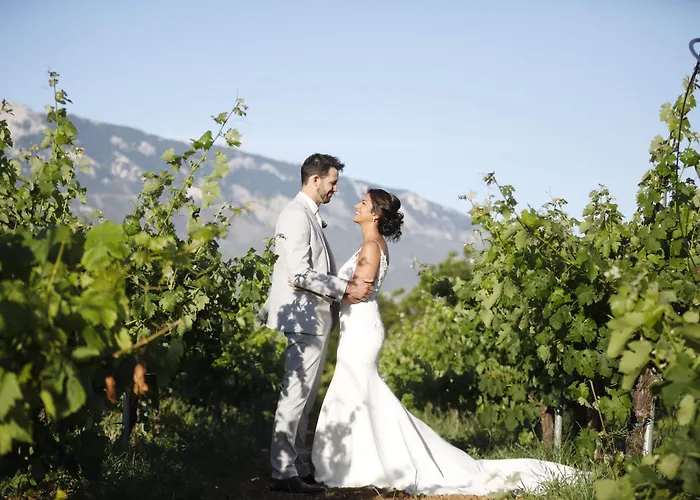 וילה Hidden Gem Estate Kefalonia, Multi-award Winner ספרטיה