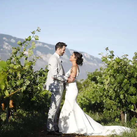 Villa Hidden Gem Estate Kefalonia, Multi-award Winner Spartià